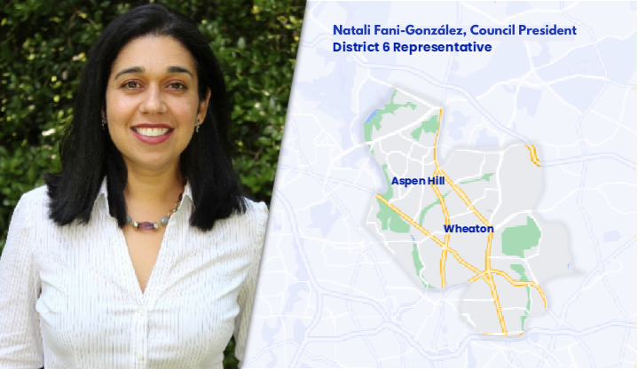 Natali Fani-González, Council President